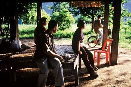 Un fotograma de la tailandesa Uncle Boonmee Un fotograma de la tailandesa Uncle Boonmee