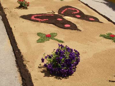 Una alfombra de flores preparada el pasado domingo en Argentona. Una alfombra de flores preparada el pasado domingo en Argentona.