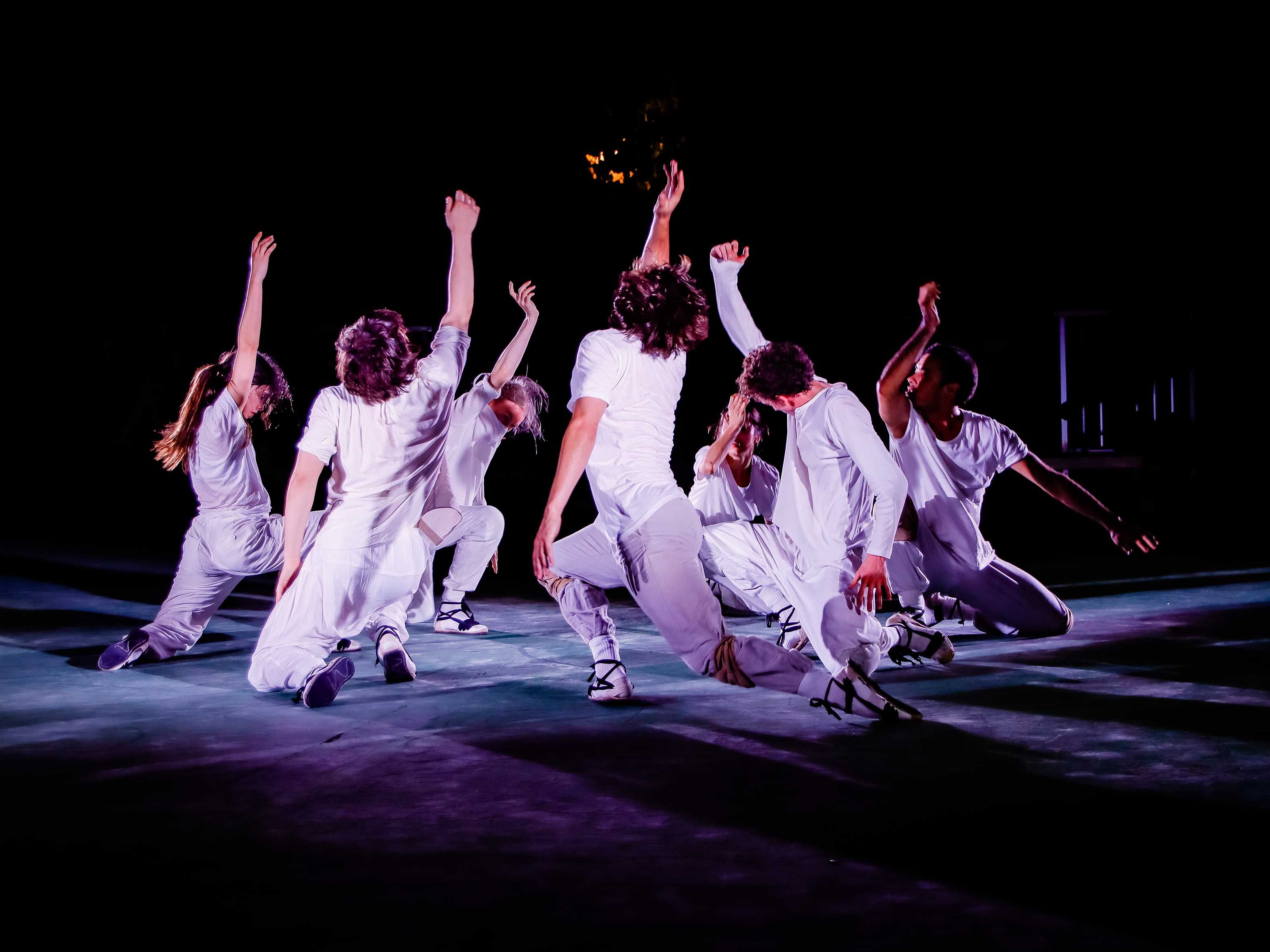 Espectacle POLS del Festival Franquesa.