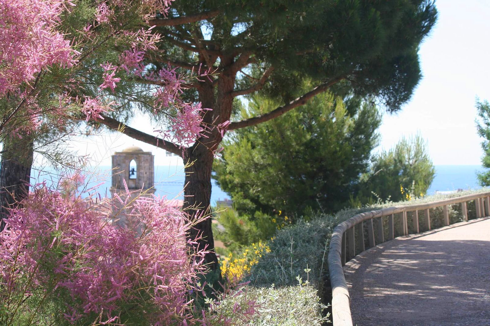 vilesflorides malgrat
