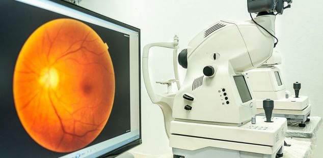 Retina. Retina.