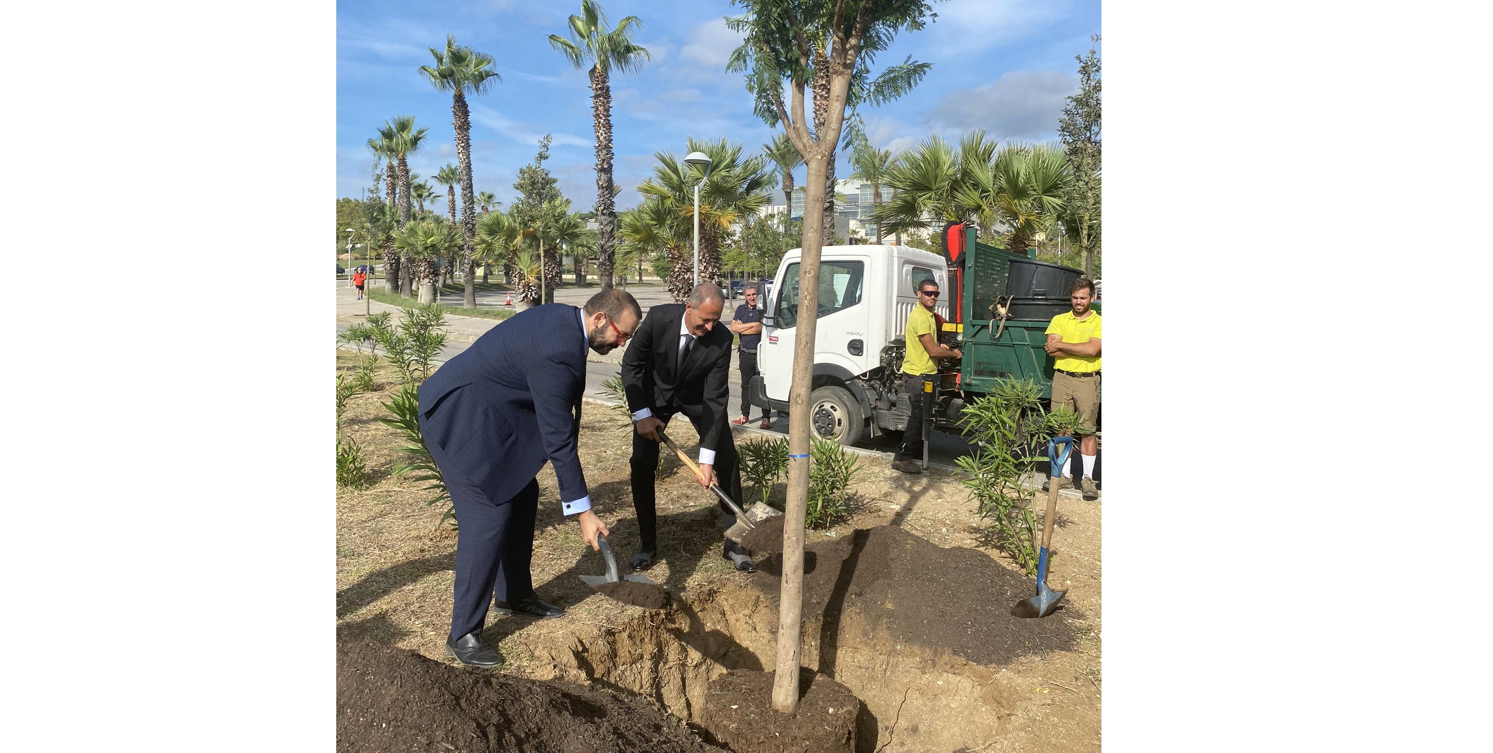 Plantada dels arbres al carrer Estrasburg de Mataró