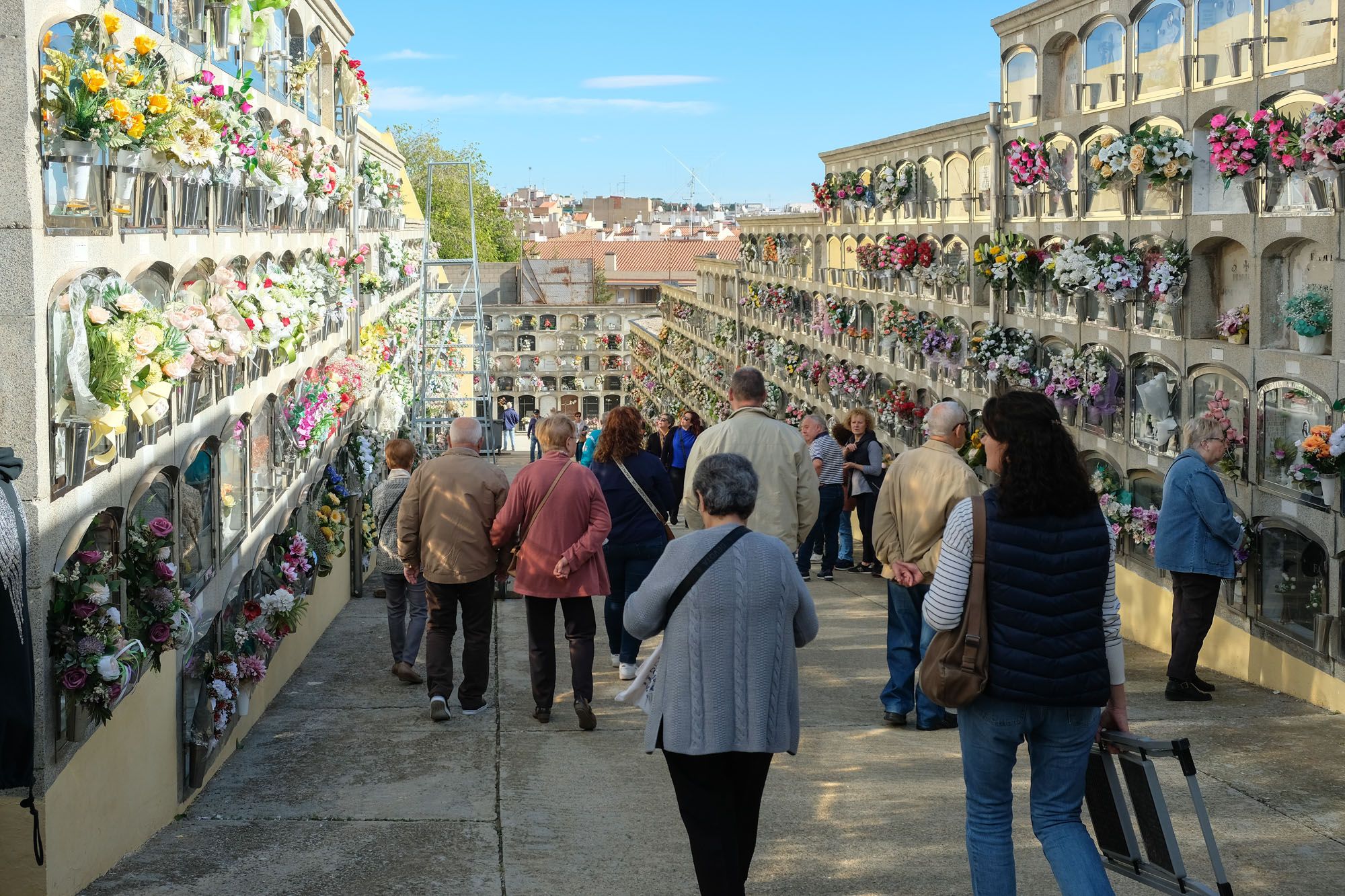 Cementiri per Tots Sants. Foto: Carme Francés Cementiri per Tots Sants. Foto: Carme Francés