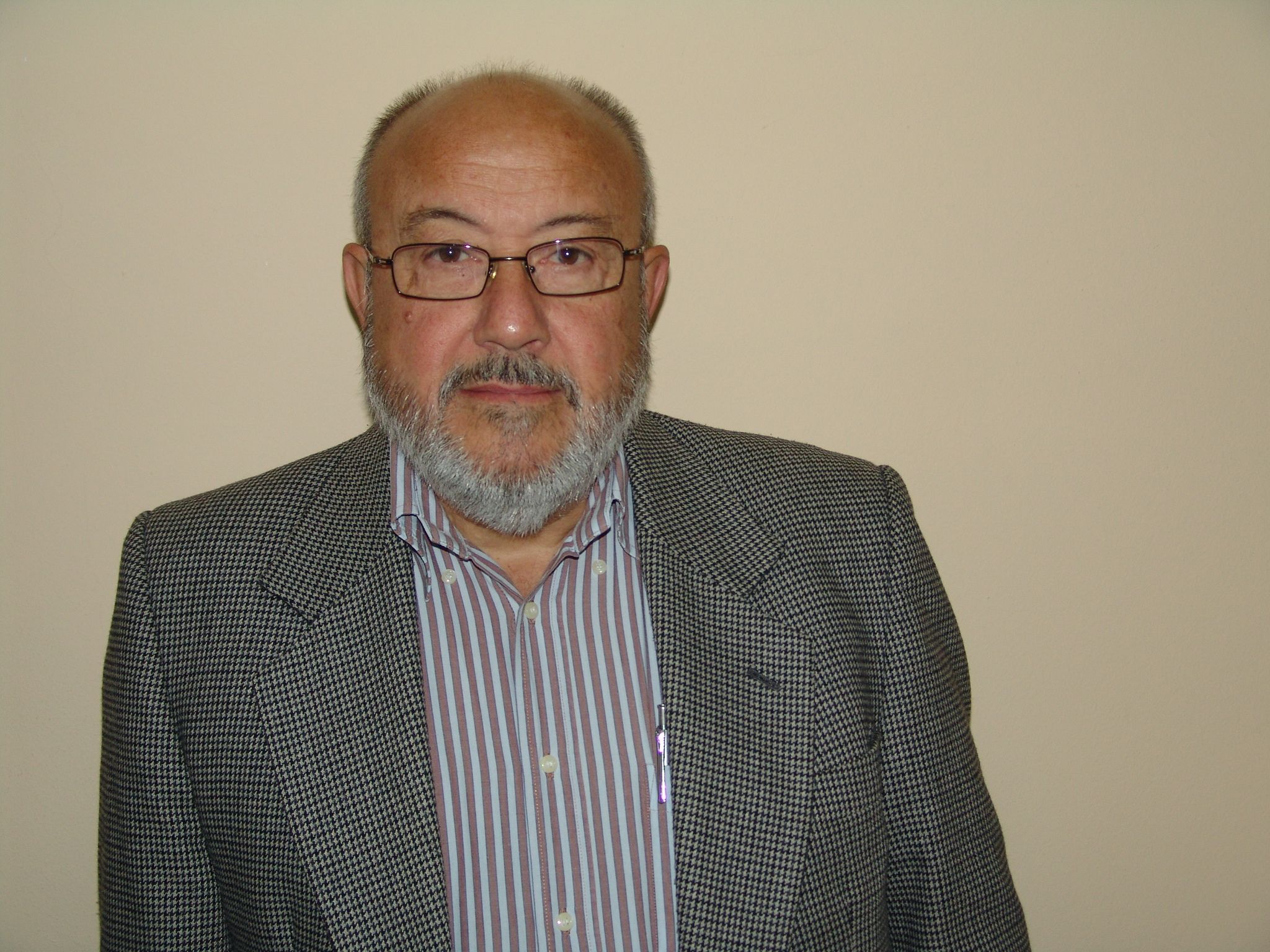 alfons udina