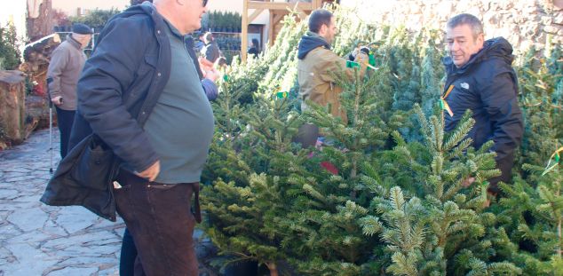 Molta gent hi compra l'arbre de Nadal Molta gent hi compra l'arbre de Nadal
