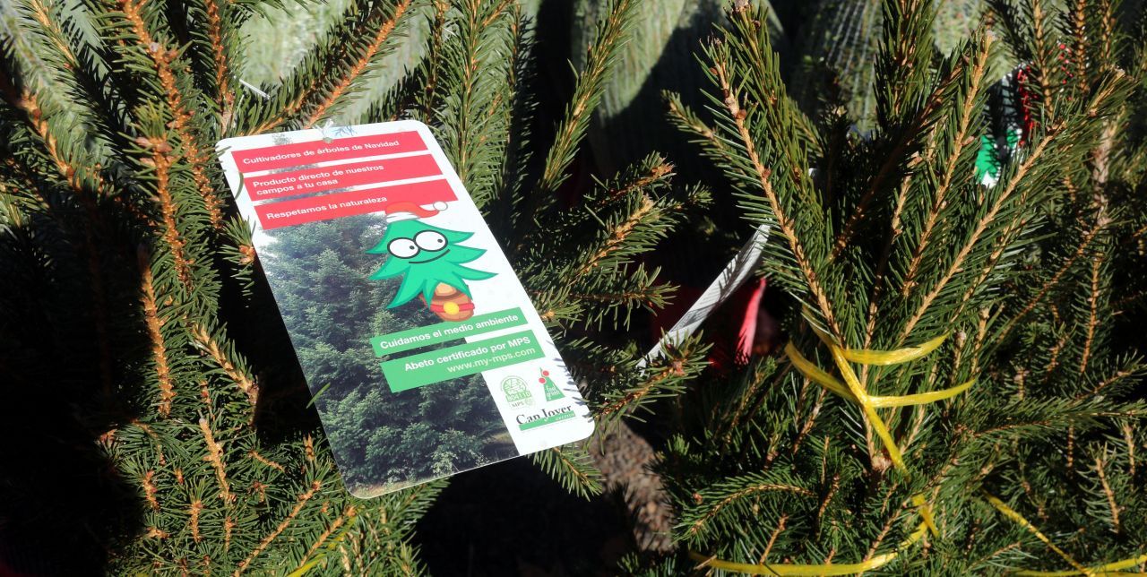 Recollida d'arbres de Nadal a Mataró