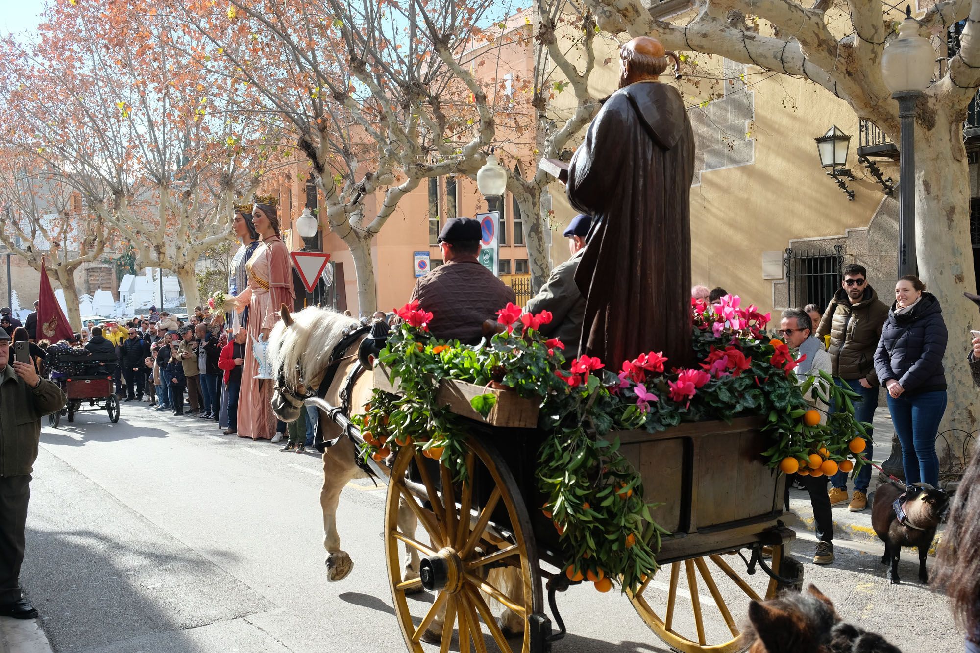 Tres Tombs Argentona 2024. Foto: Carme Francés Tres Tombs Argentona 2024. Foto: Carme Francés