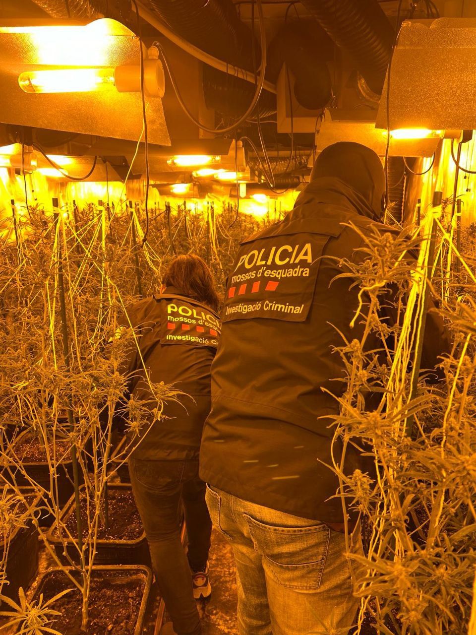 Foto primera investigació 1