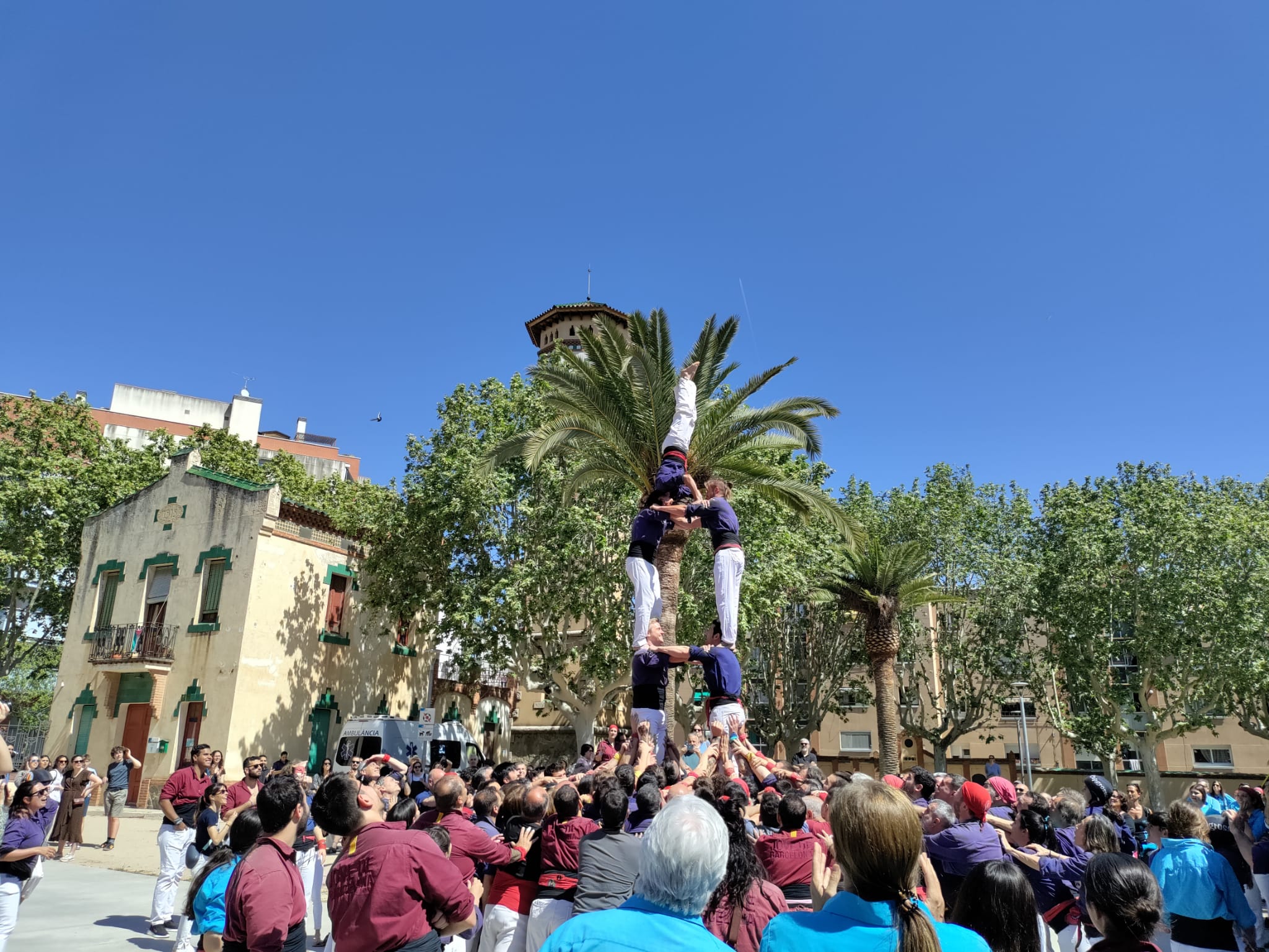 La figuereta a la torre de 7 al final de la clàssica. Foto. E. Casanova La figuereta a la torre de 7 al final de la clàssica. Foto. E. Casanova