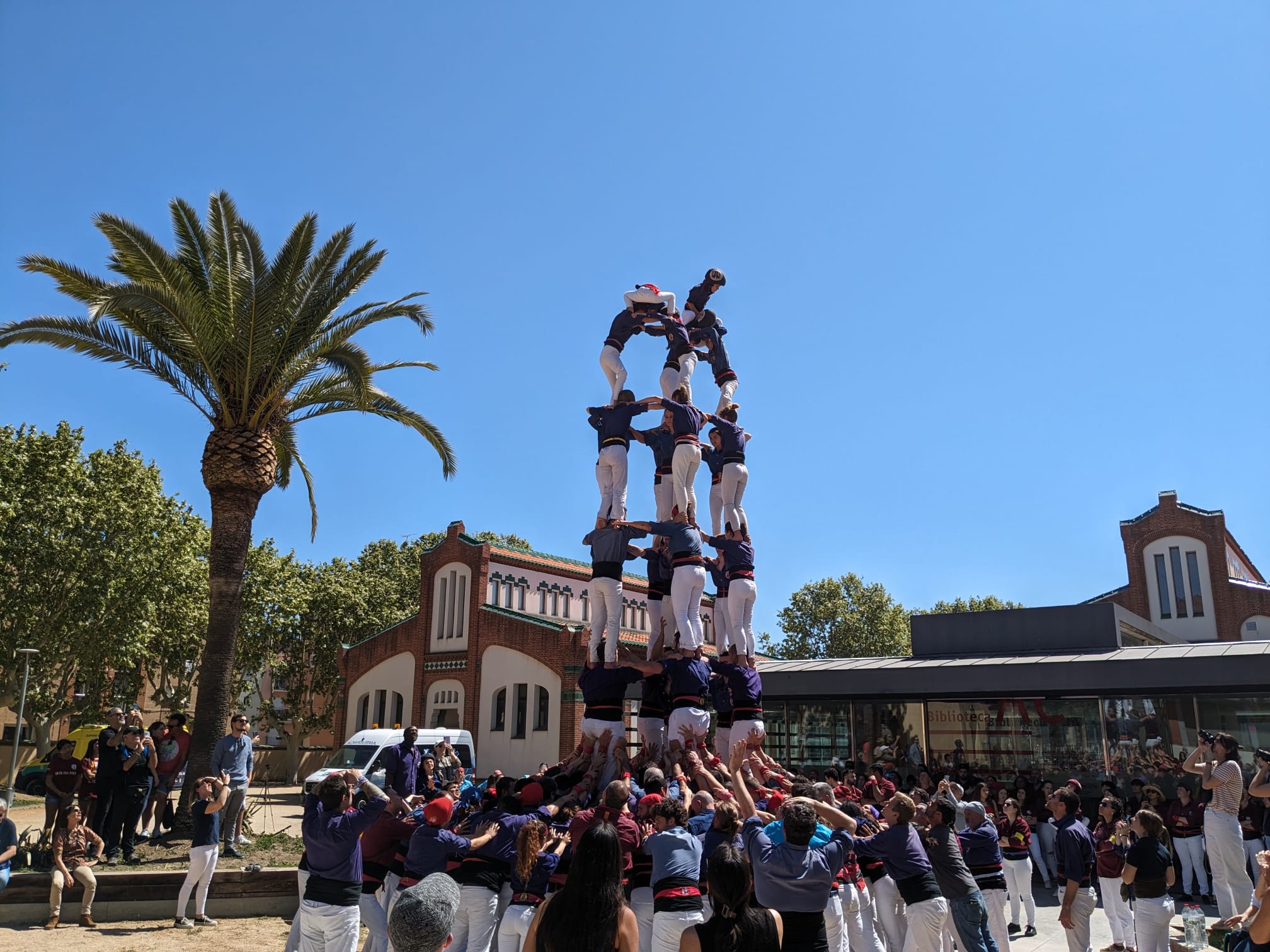 El 7 de 7 dels Capgrossos. Foto: Cedida El 7 de 7 dels Capgrossos. Foto: Cedida