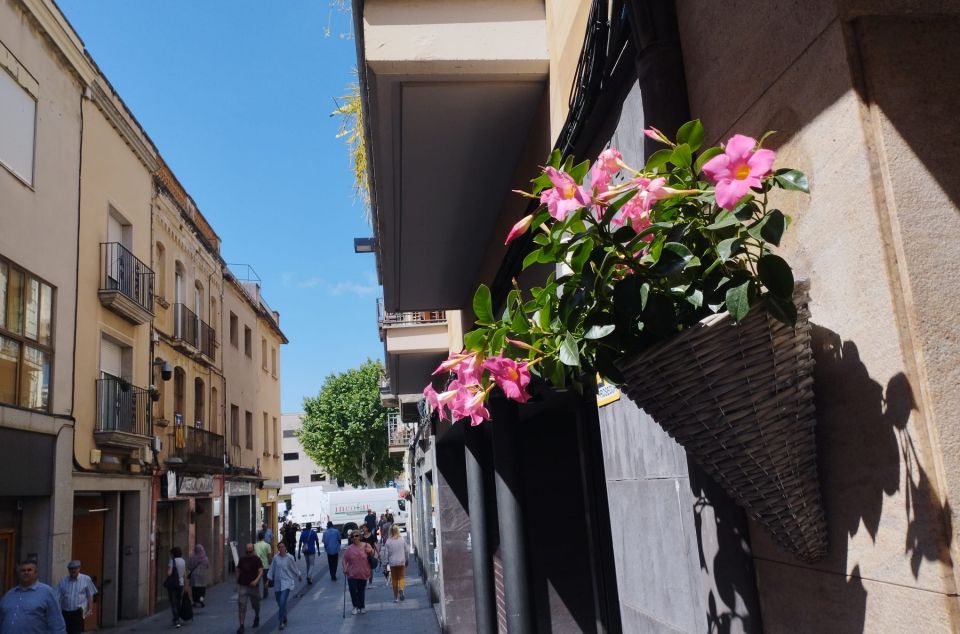 Un dels testos al carrer Un dels testos al carrer