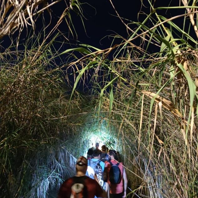 La Marxeta Nocturna de Les Santes La Marxeta Nocturna de Les Santes