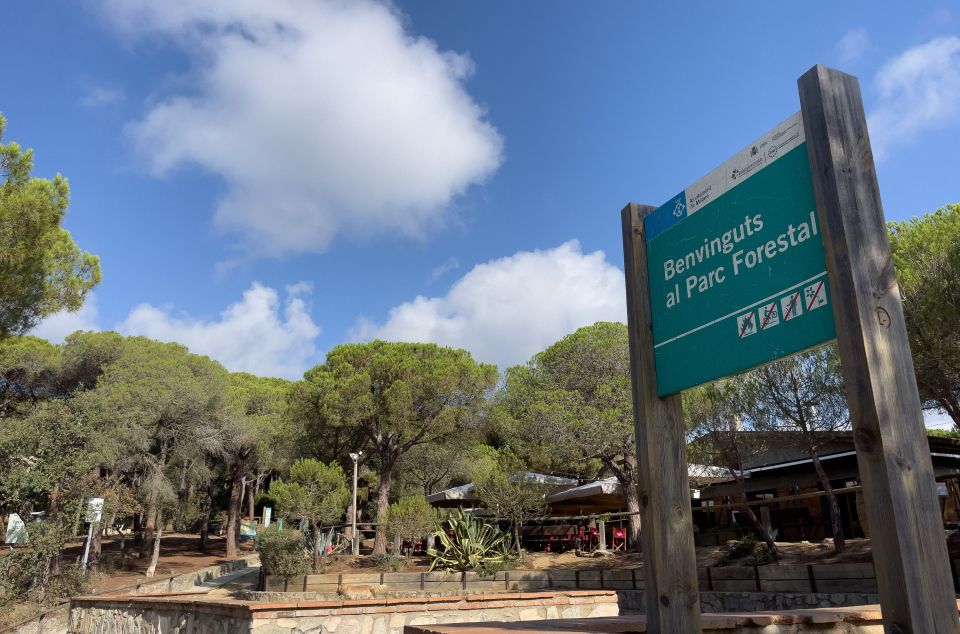 El Parc Forestal acull diverses de les rutes