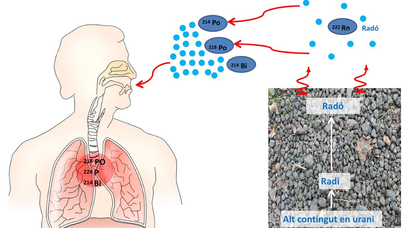 Efectes del gas radó en la salut