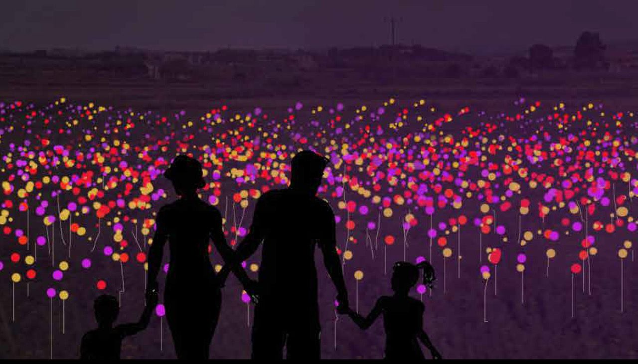 De Tortell Poltrona a un camp de les Cinc Sènies amb 15.000 flors fluorescents