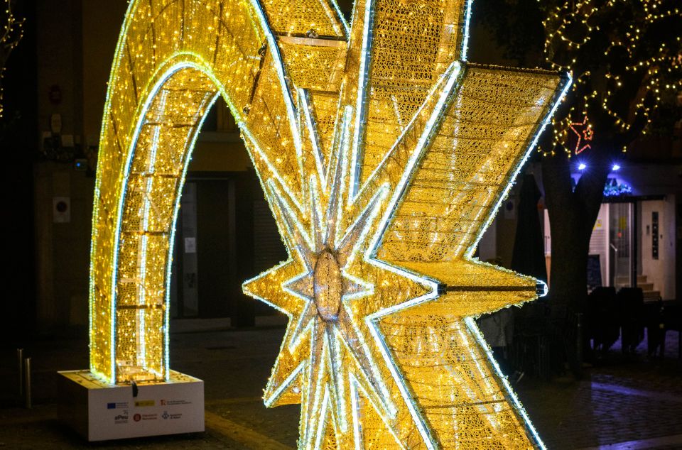 Estrella de Navidad. Foto. R. Gallofré
