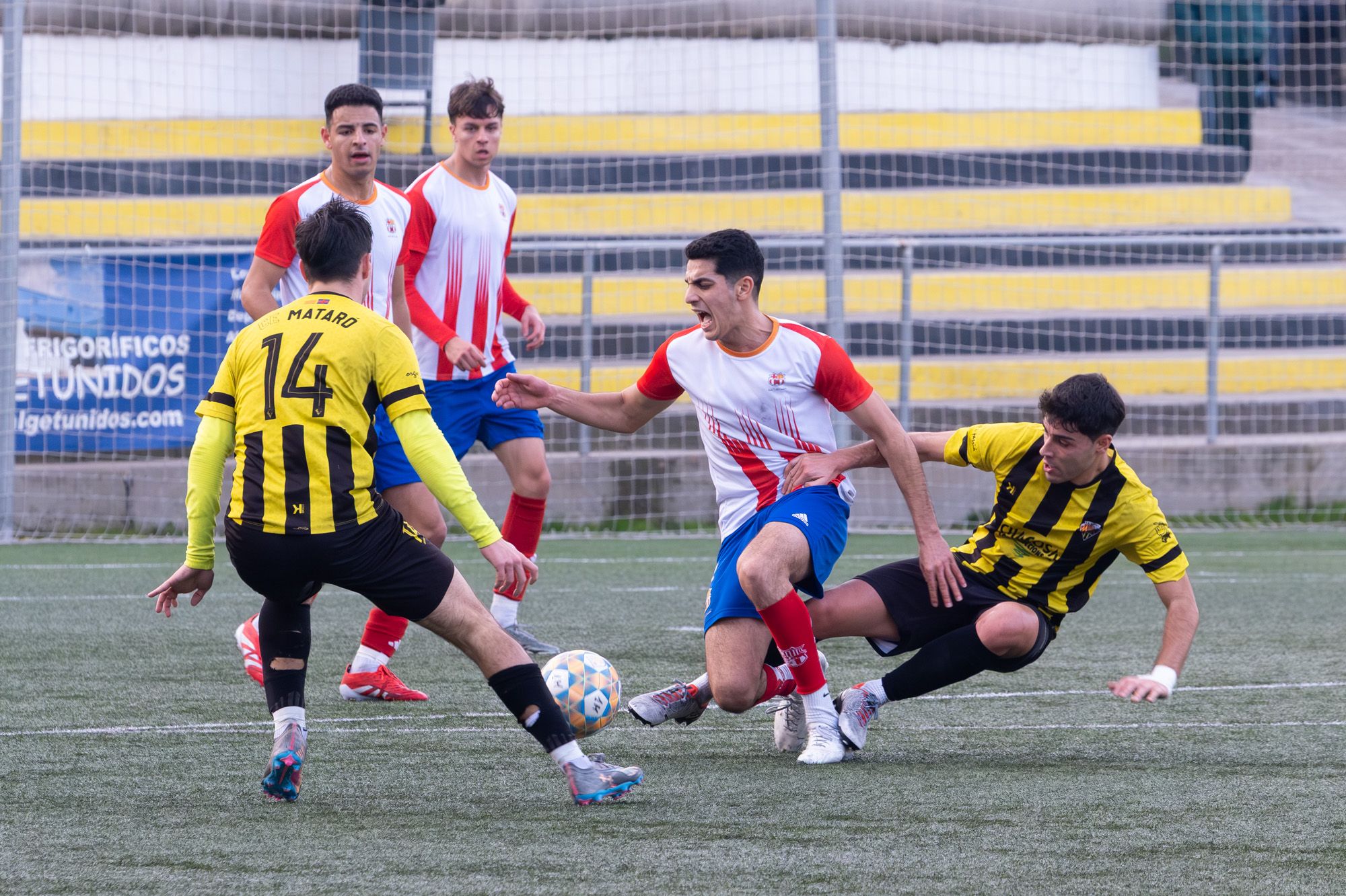 DSCF1953 Mejorado NR