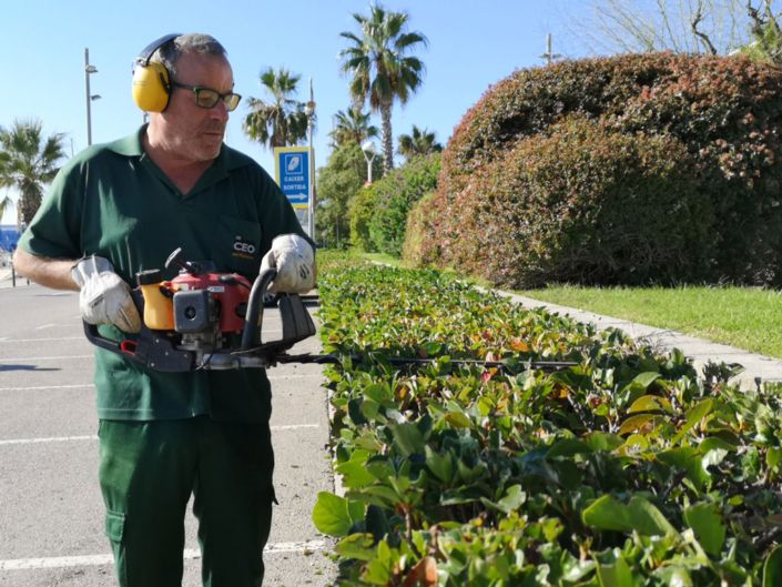 Servei de jardineria port de mataro 705x529 Servei de jardineria port de mataro 705x529