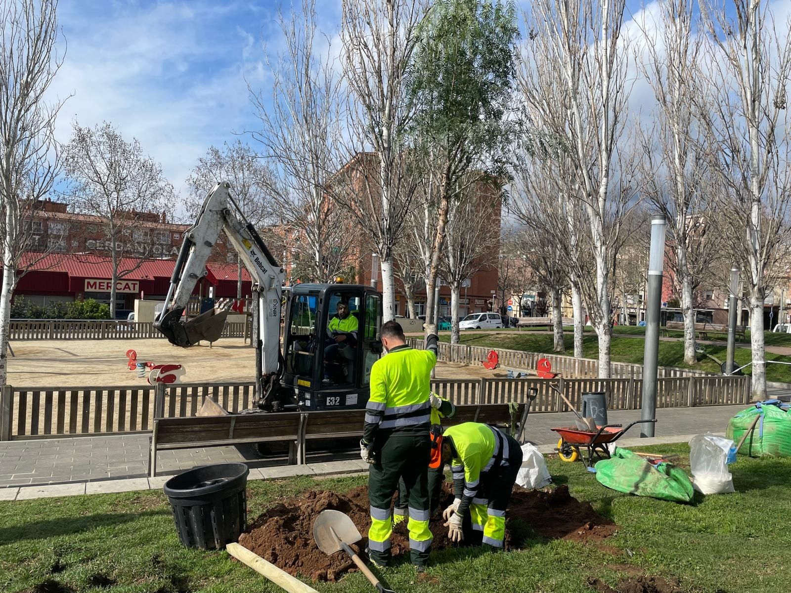 Replantada d'arbres a la plaça d'Andalusia de Mataró. Foto Ajuntament