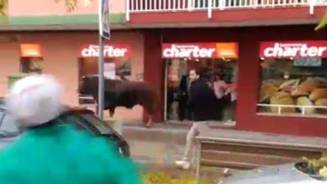 El toro en el barrio de Cerdanyola.