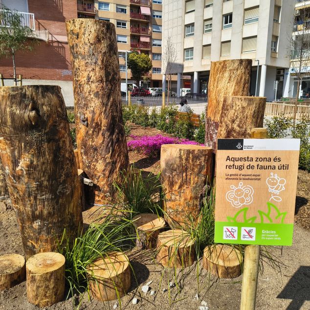 detall dels troncs detall dels troncs