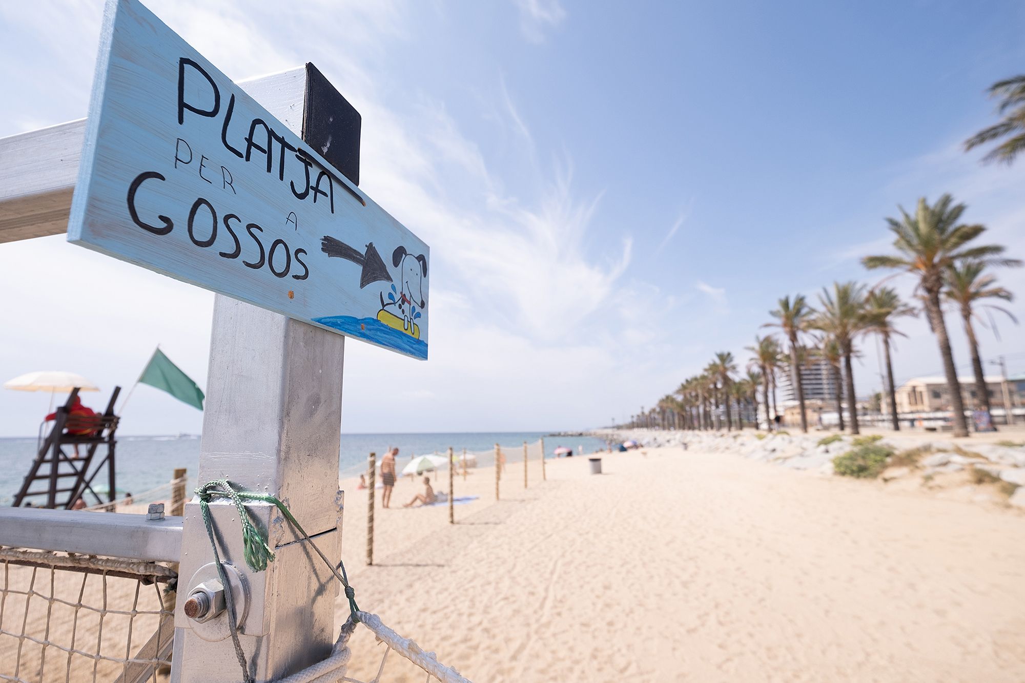 Platja per gossos Platja per gossos