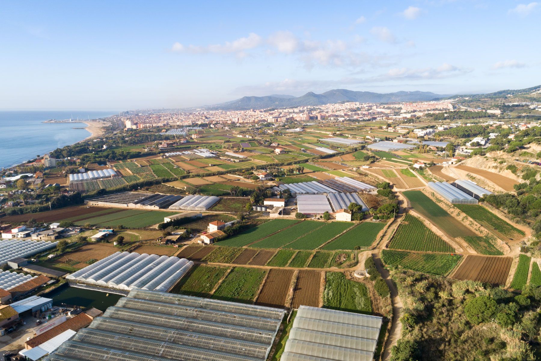 Cinc Sènies, des del Turó d'Onofre Arnau