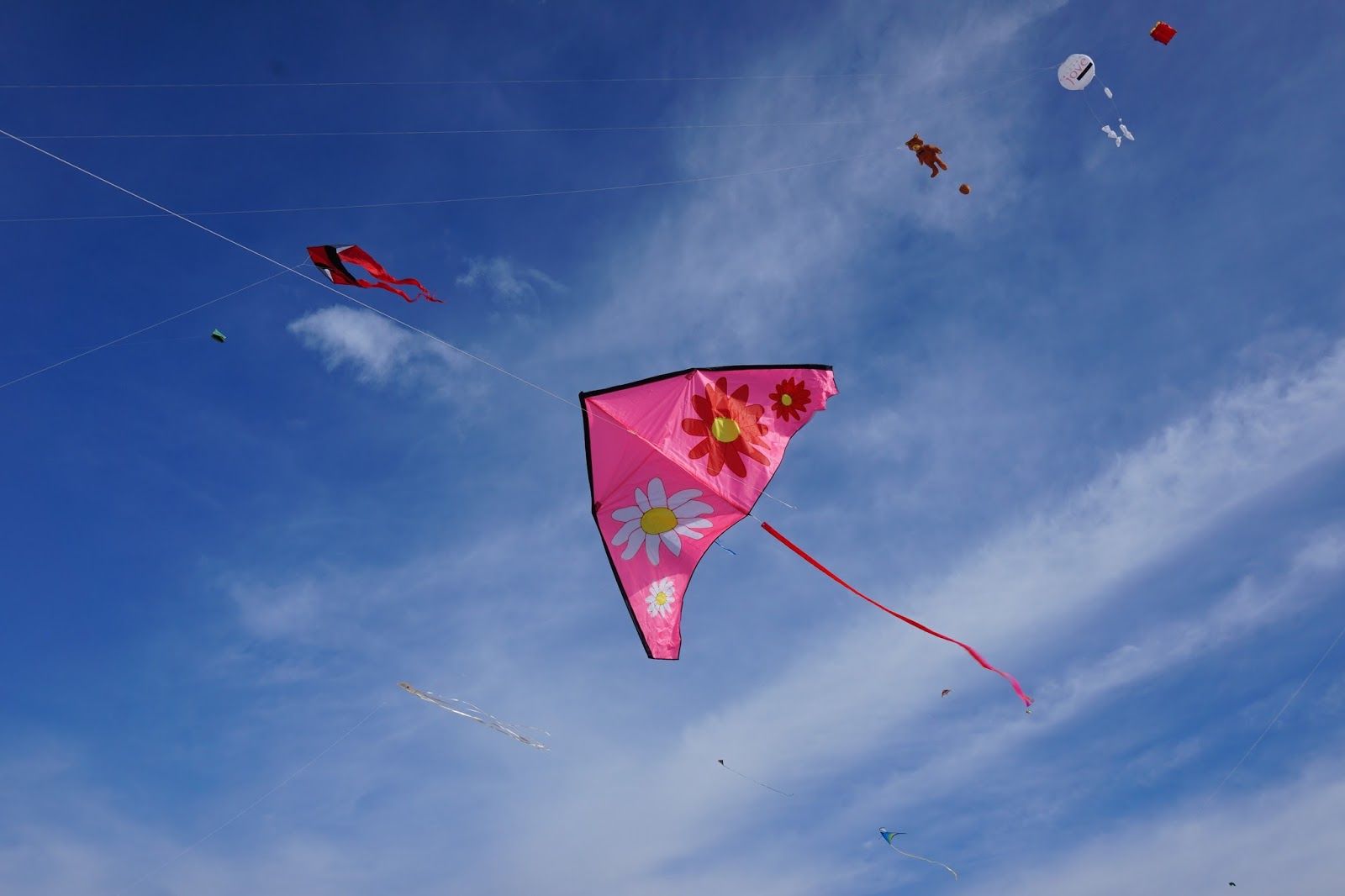 Cometas en las fiestas de Calella