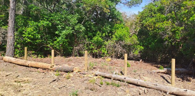 Estaques per protegir les plantes Estaques per protegir les plantes