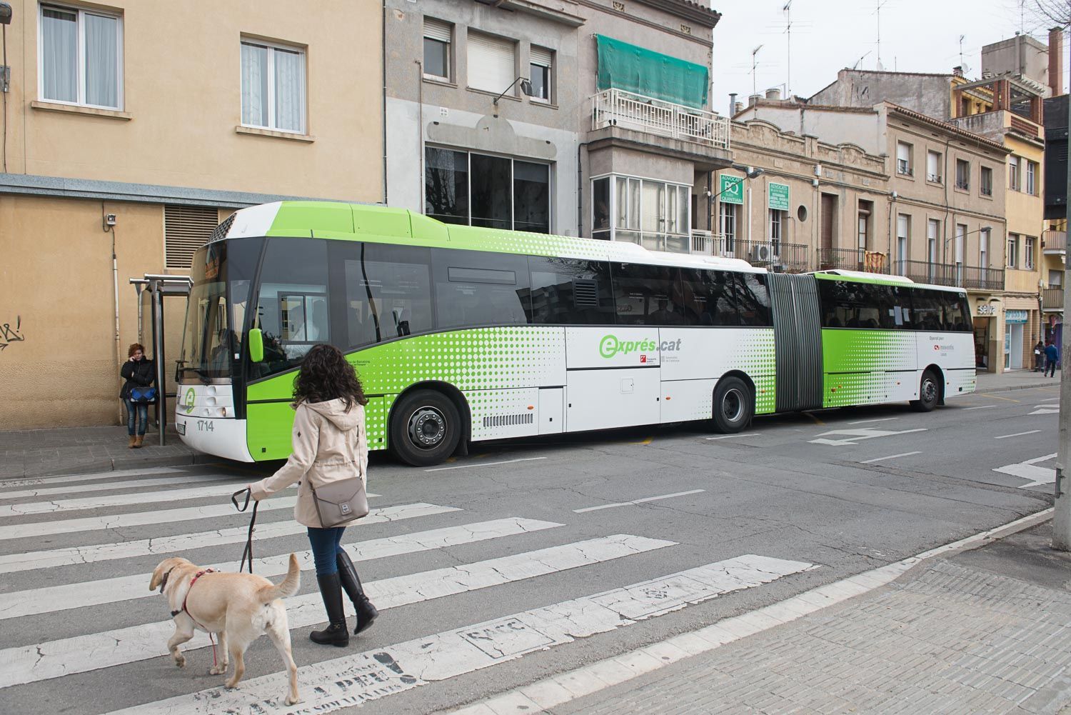 Un dels autobusos de la línia E.11.1. Foto: R.Gallofré
