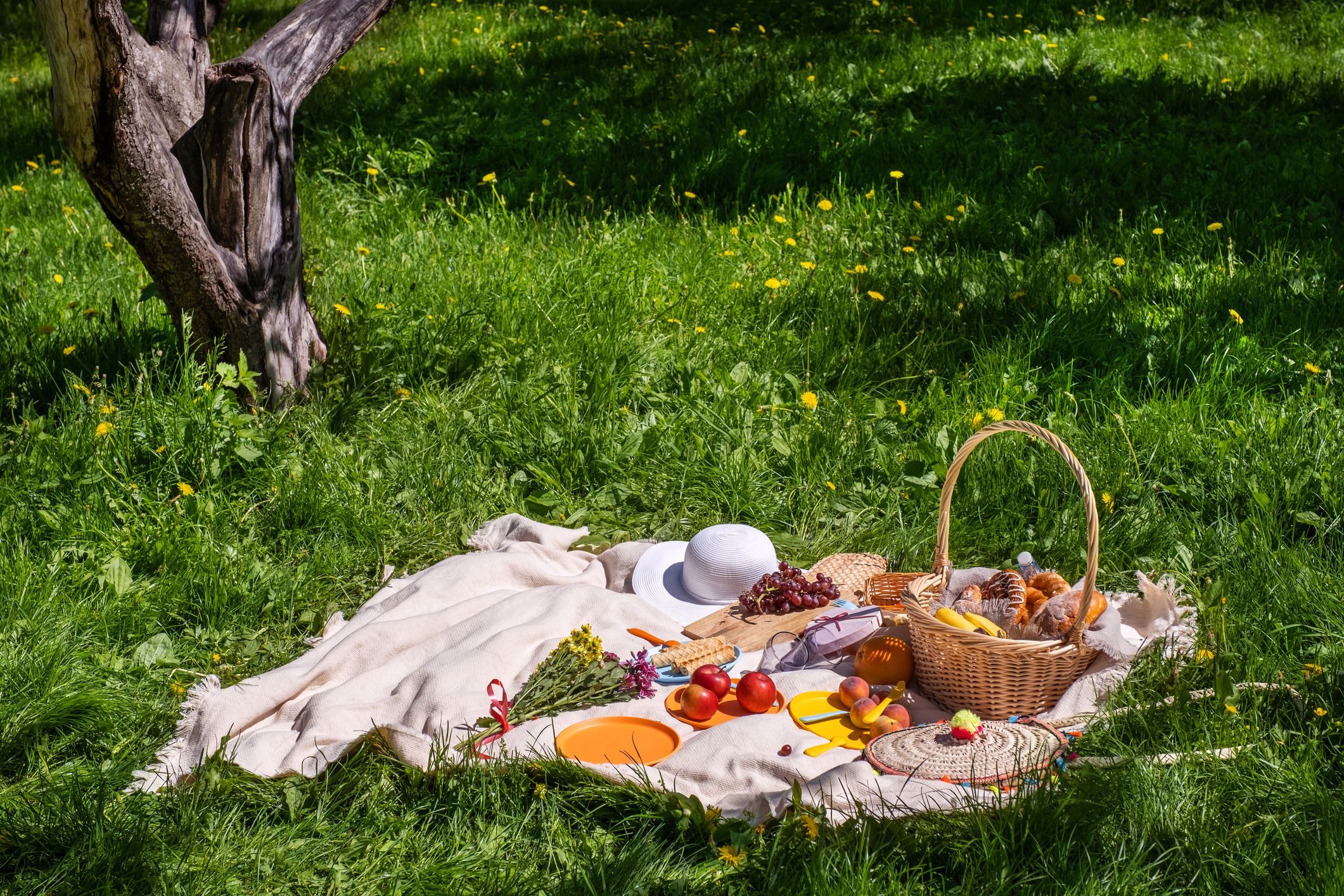 Las mejores opciones para hacer picnic en el Maresme