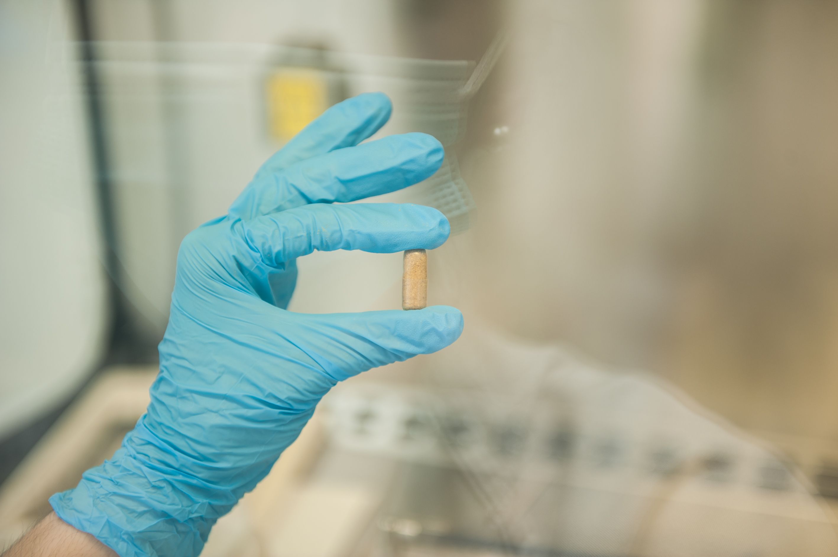 Càpsules de microbiota per contribuir a la teràpia del trasplantament de femta