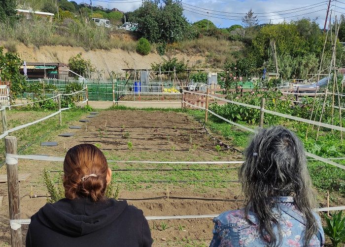 Horticultura terapèutica: cuidar l'hort és molt beneficiós contra les adiccions