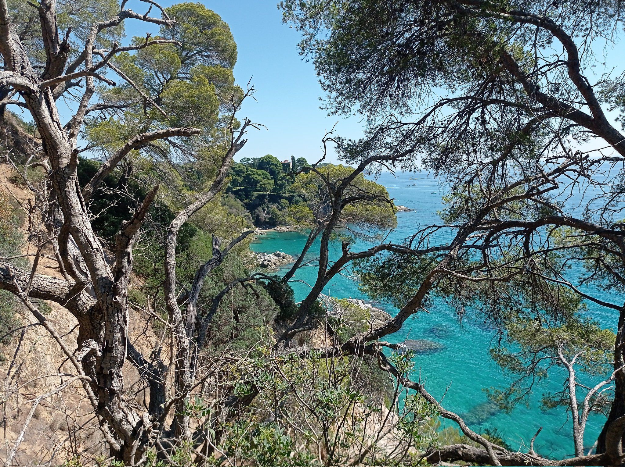 Can Juncadella, on hi ha el camí de ronda tallat per l'amo d'una mansió