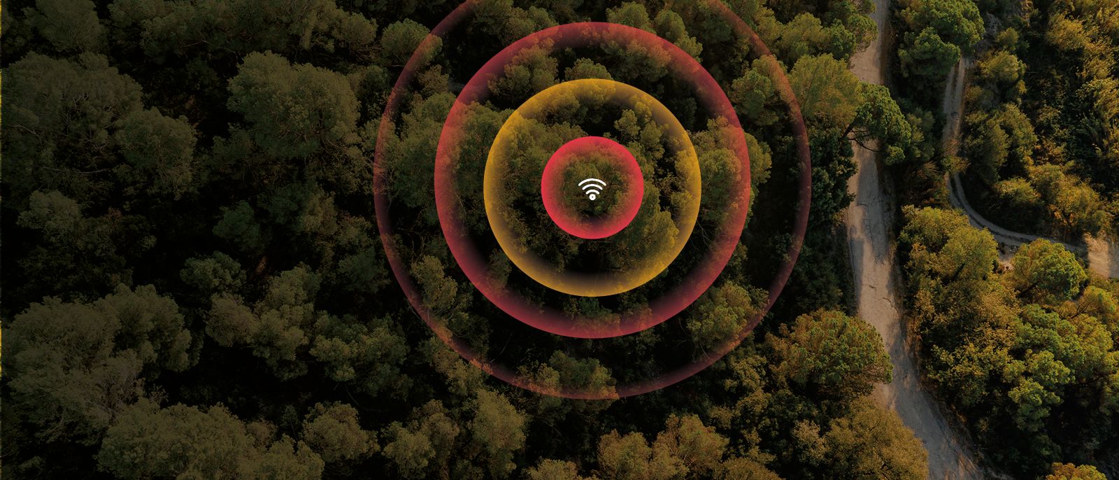 Sistema de detecció d'incendis forestals