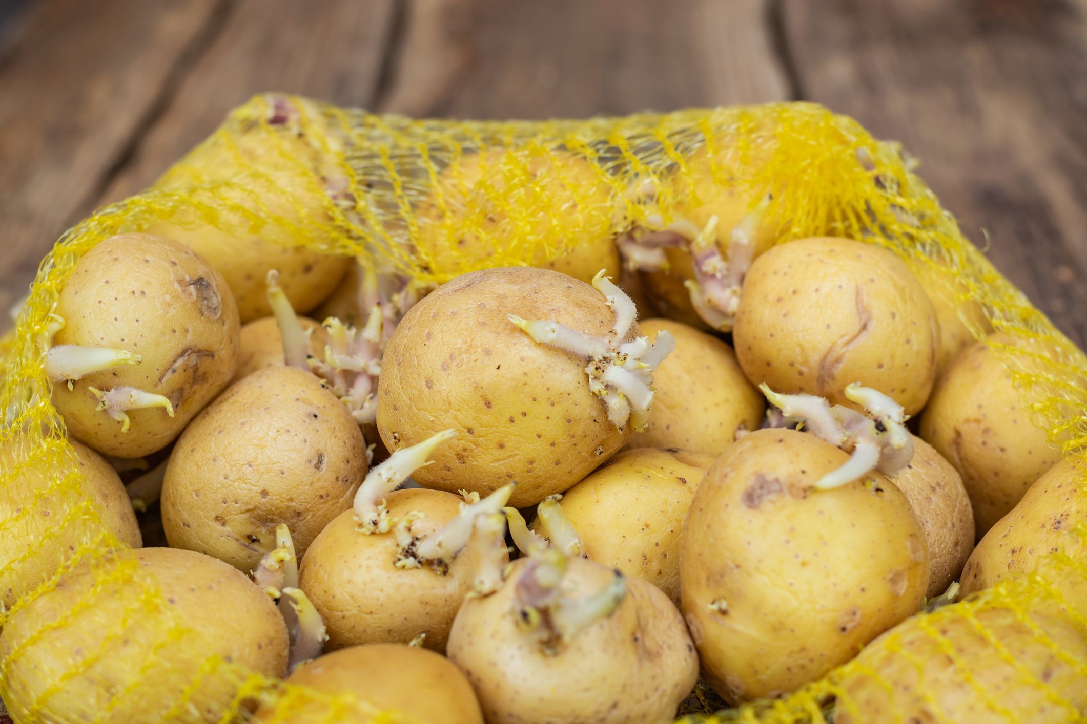 patatas del Maresme