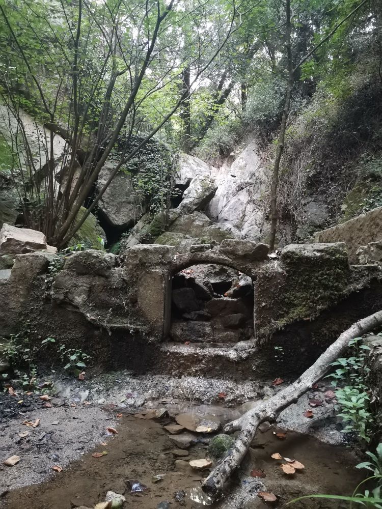 El bosc de les dones d'aigua