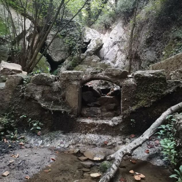 El bosc de les dones d'aigua