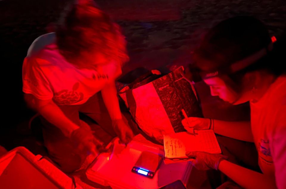 El equipo científico que hace el seguimiento