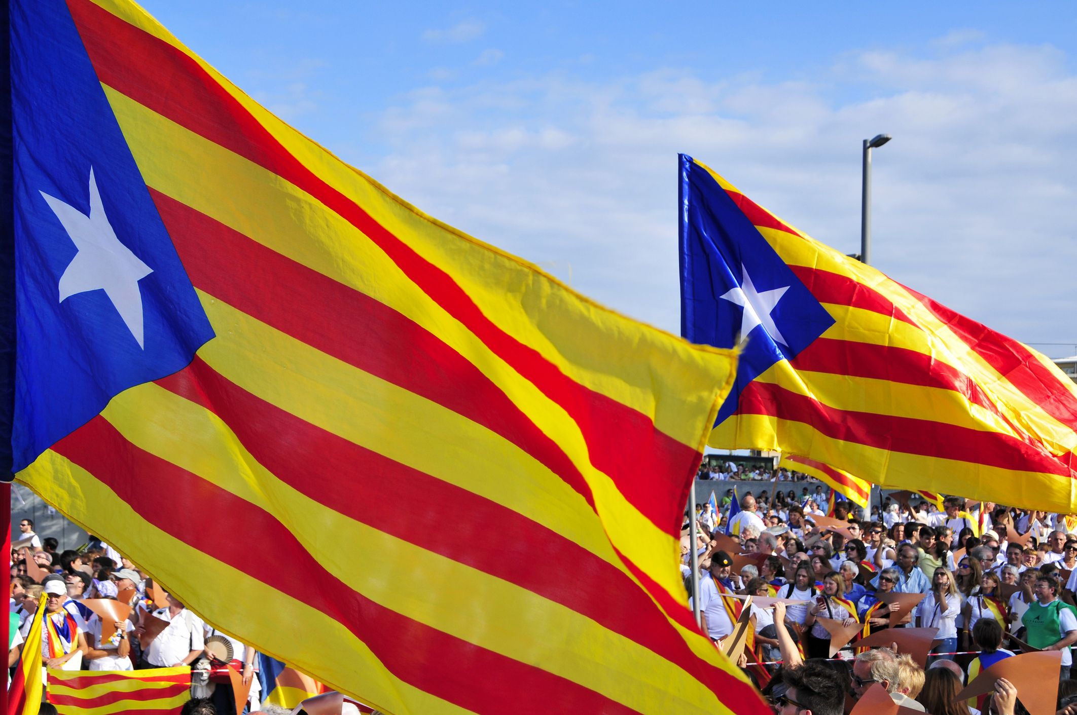 manifest Diada 2025