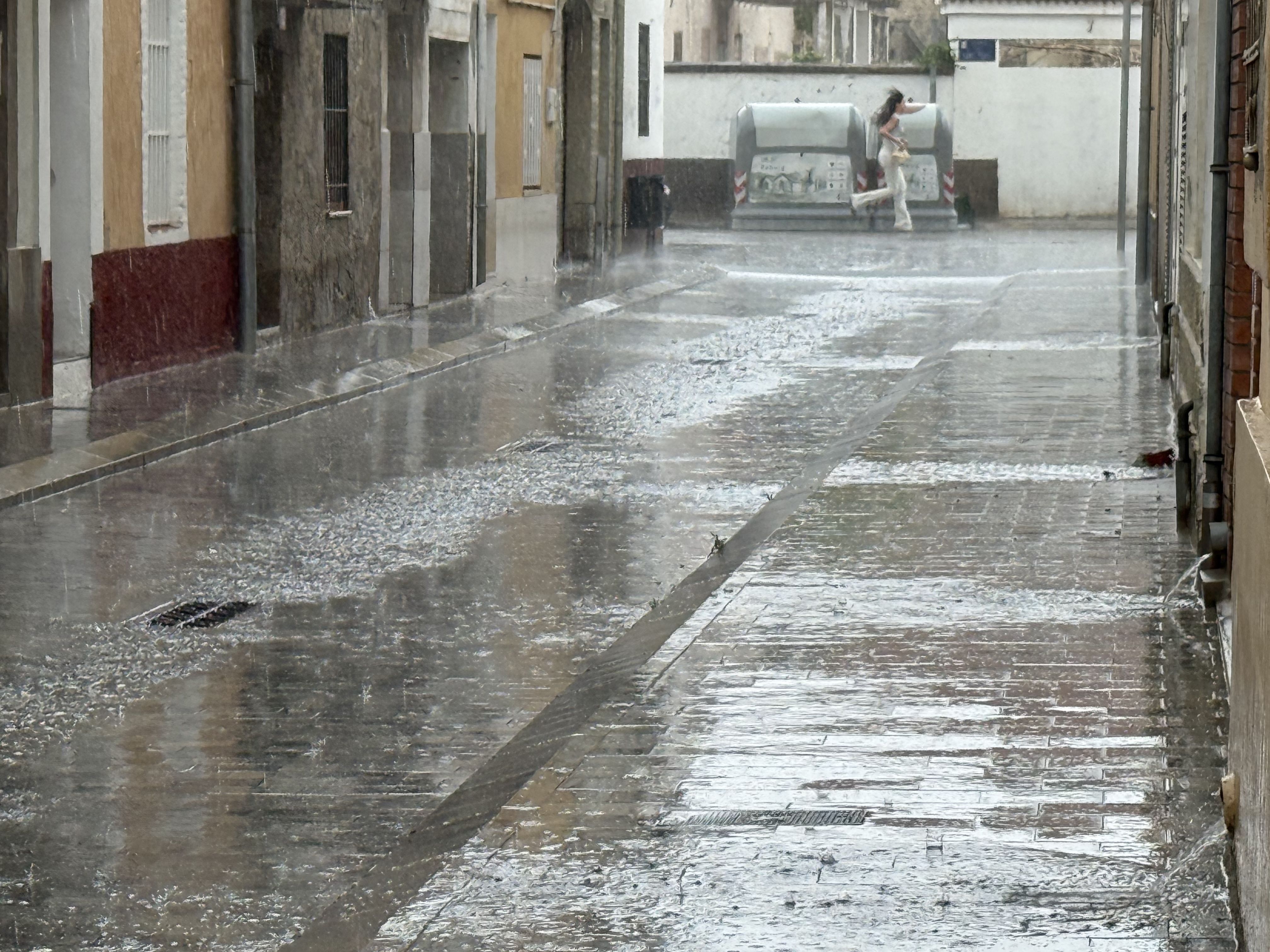 Episodi de pluja intensa. Foto: ACN