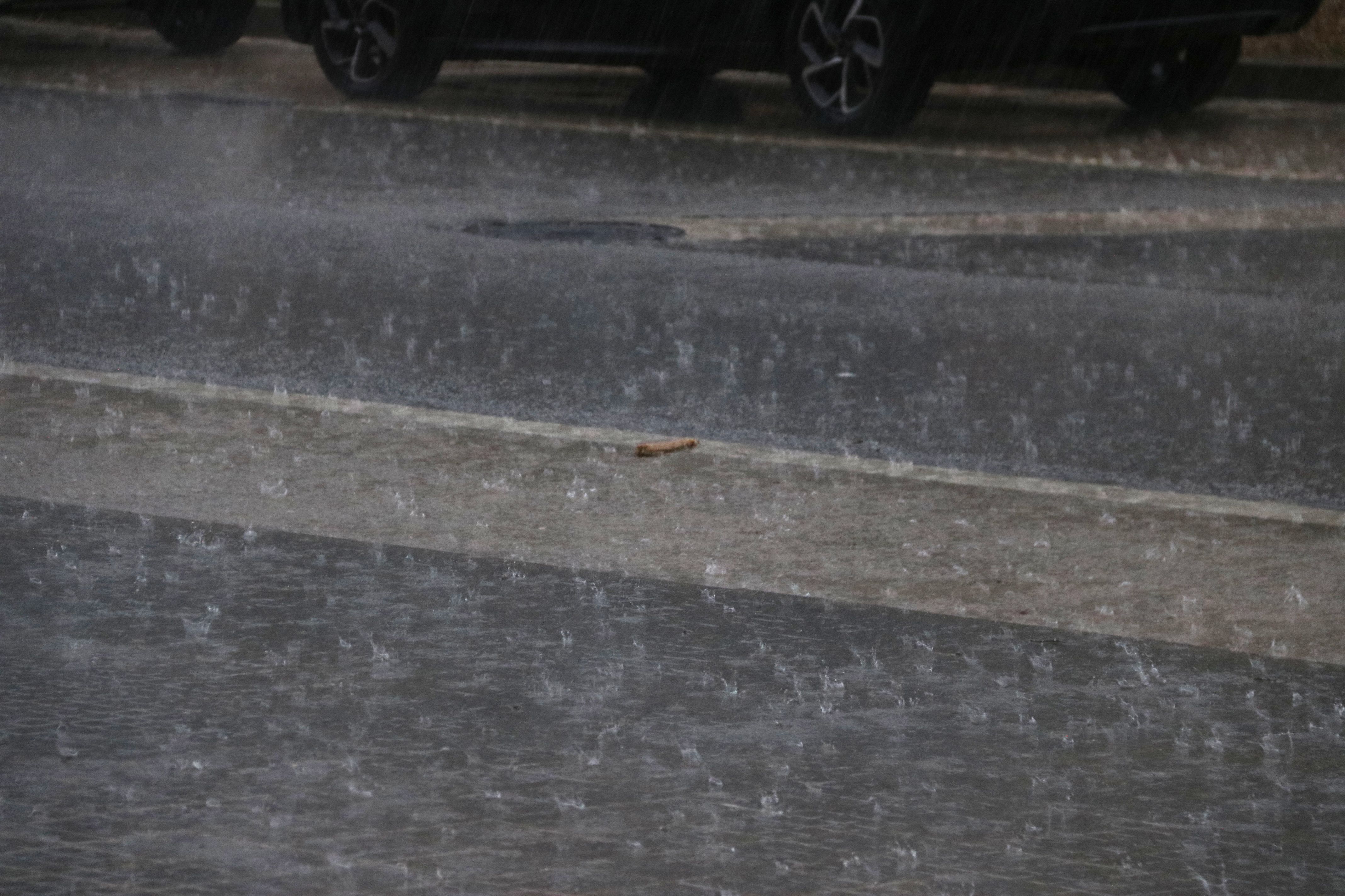 Episodi de pluja intensa. Foto: ACN