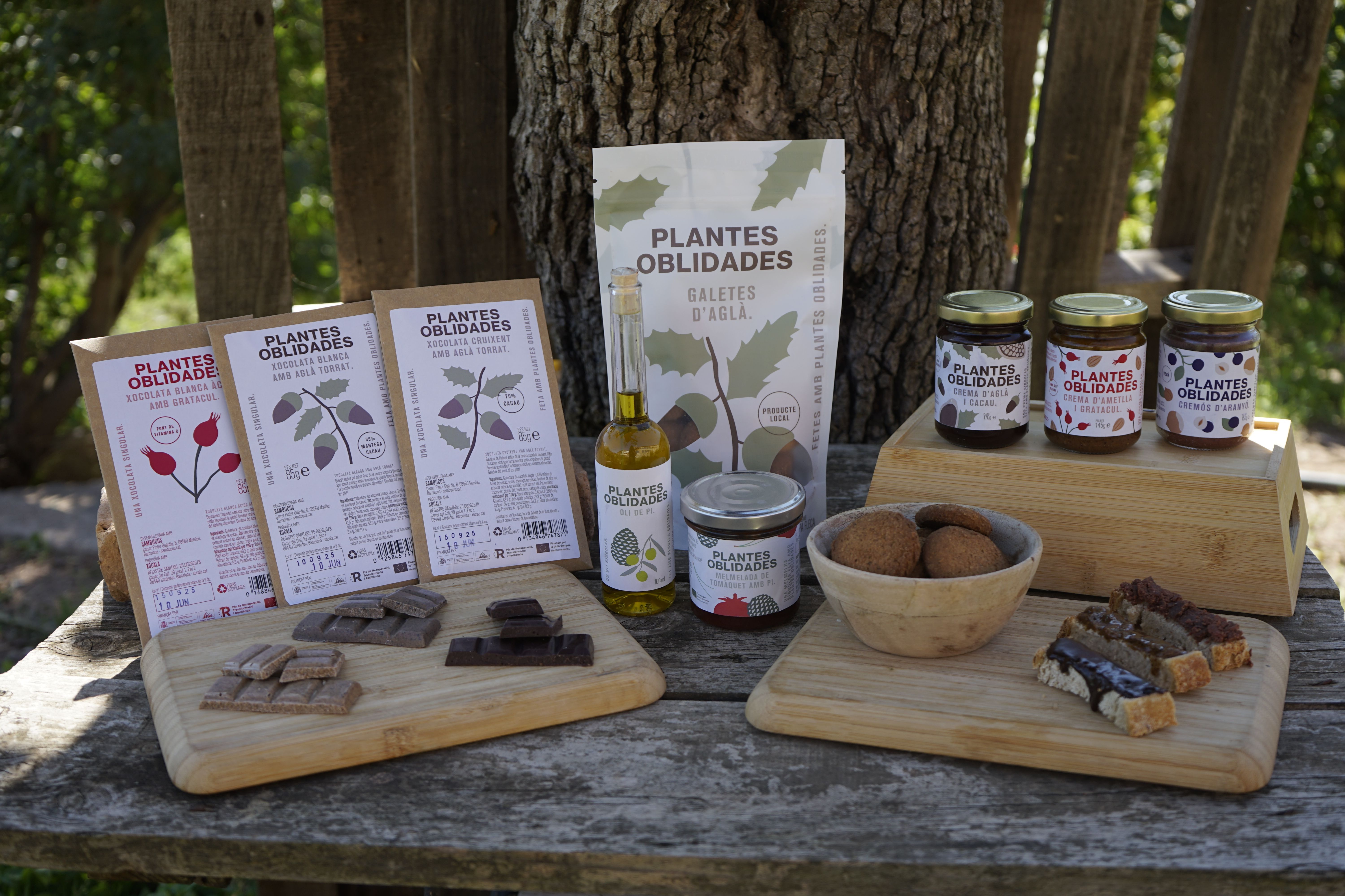 Productes de Plantes Oblidades