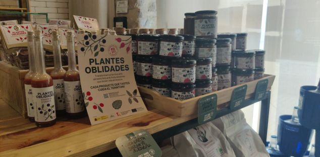 Productos Plantes Oblidades en tiendas Productos Plantes Oblidades en tiendas