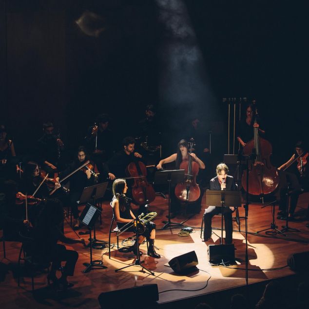 Camerata, en acció Camerata, en acció