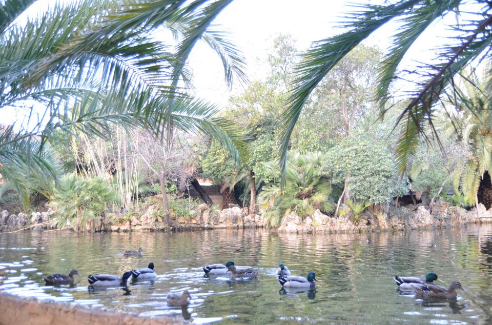 Jardins del Parc del Llac. Foto Diputació de Barcelona Jardins del Parc del Llac. Foto Diputació de Barcelona
