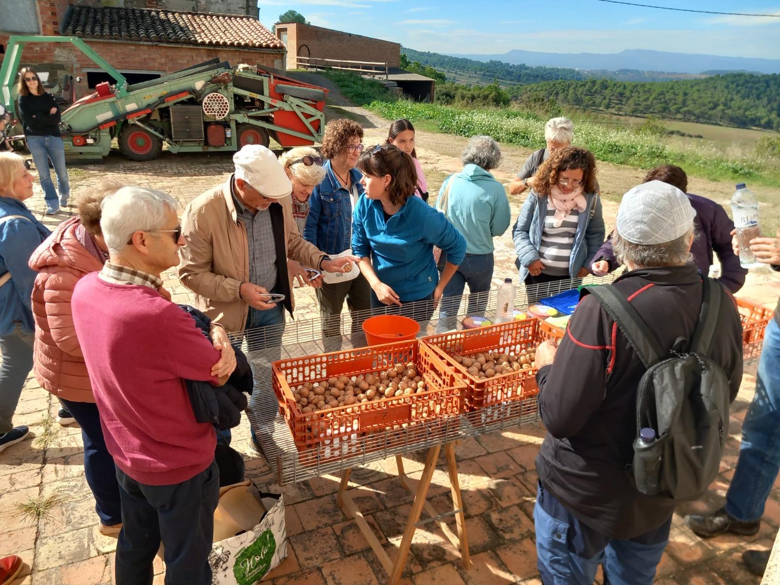 Visita de referència a la productora de nous ecològiques Nous Soler (Moianès). Departament d'Agricultura, Ramaderia, Pesca i Alimentació de la Generalitat de Catalunya Visita de referència a la productora de nous ecològiques Nous Soler (Moianès). Departament d'Agricultura, Ramaderia, Pesca i Alimentació de la Generalitat de Catalunya