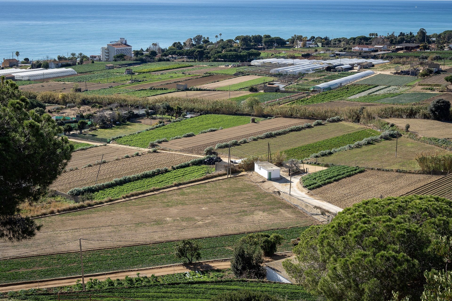 Espacio Agrario Mataró Foto de Patxi Uriz