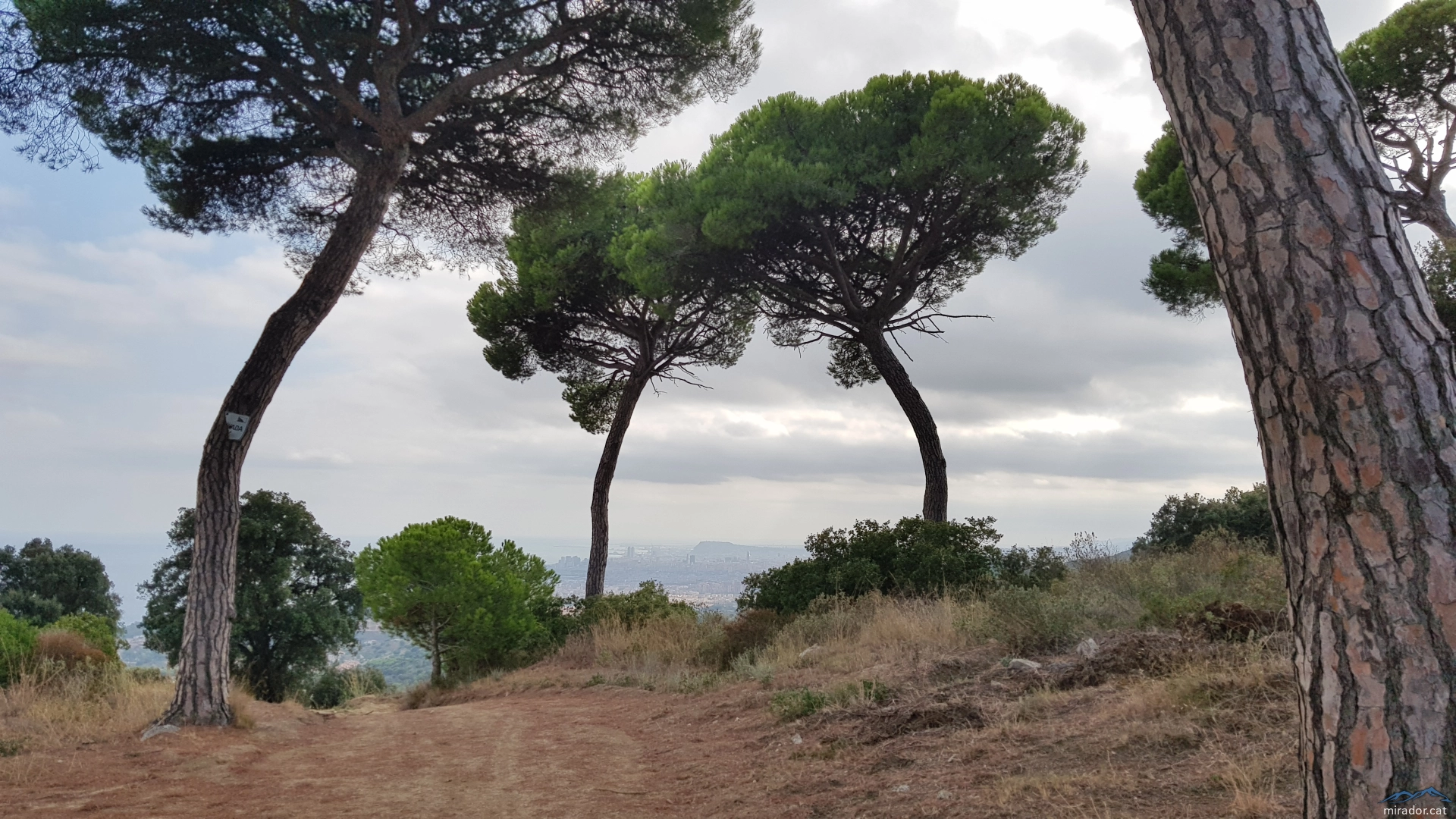 Las vistas del Turó d'en Galzeran