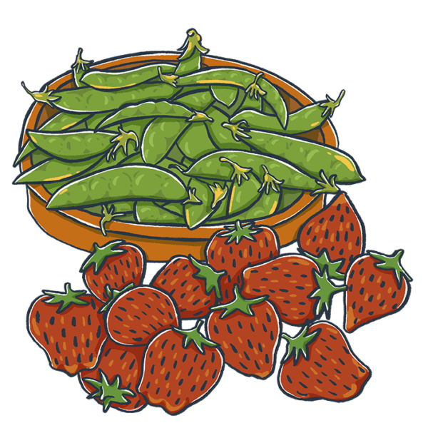 Productos gastronómicos propios de la ciudad y su entorno Productos gastronómicos propios de la ciudad y su entorno